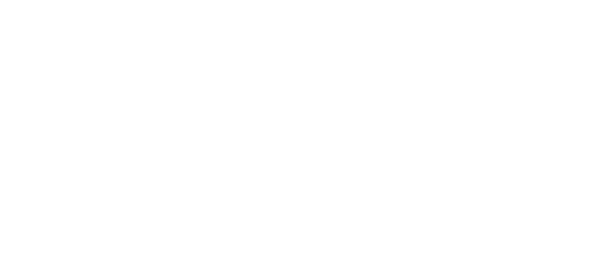 logo go2sure